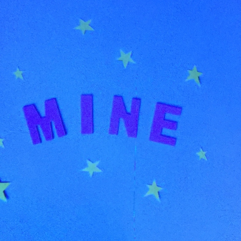 Meet your Posher, Terecilyn